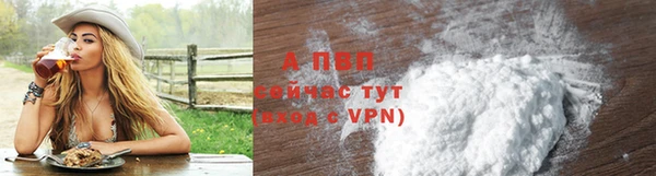 ГАЛЛЮЦИНОГЕННЫЕ ГРИБЫ Беломорск