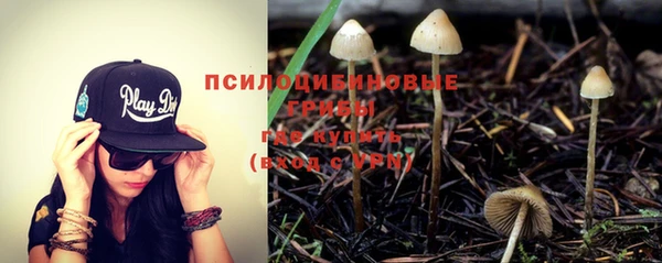 Альфа ПВП Армянск