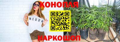 гидра Свободный