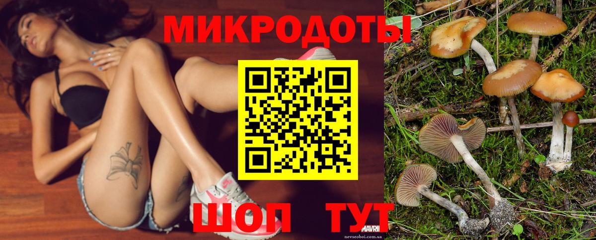 Строитель  купить наркотики цена  Вход с VPN  Псилоцибиновые грибы мицелий 
